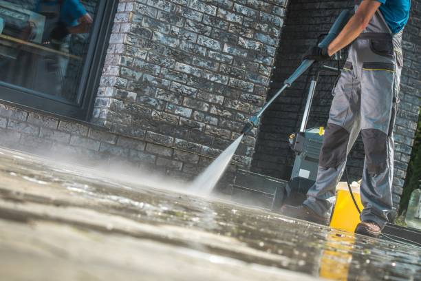 Best Roof Washing  in Alto, TX