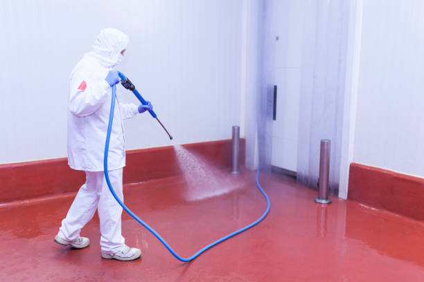 Professional Pressure Washing Services in Alto, TX