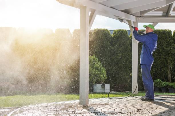 Best Dumpster Area Cleaning  in Alto, TX